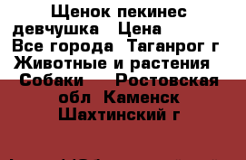 Щенок пекинес девчушка › Цена ­ 2 500 - Все города, Таганрог г. Животные и растения » Собаки   . Ростовская обл.,Каменск-Шахтинский г.